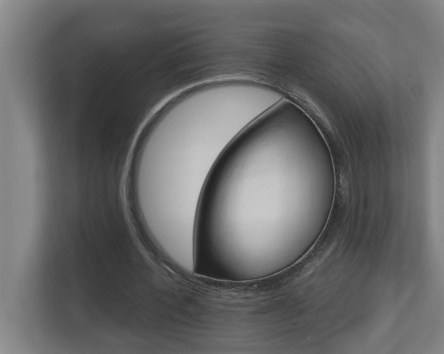 X0000112720532200908200948