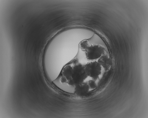 X0000112720533200908200948