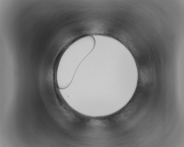 X0000112720534200908200948