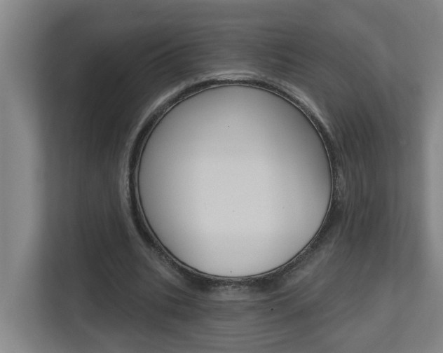 X0000112720535200908200948