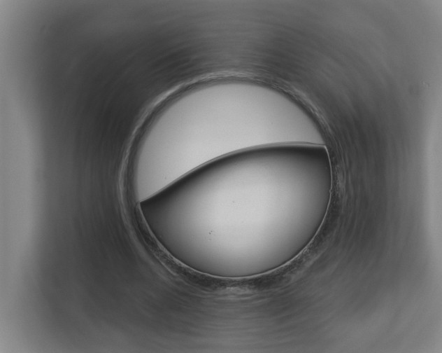 X0000112720536200908200948