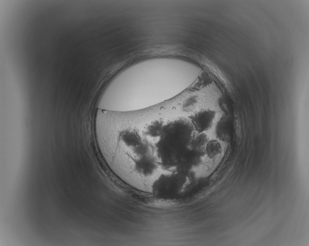 X0000112720537200908200948