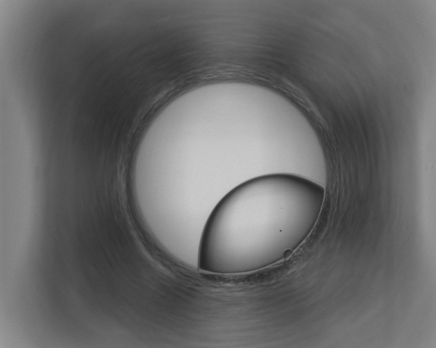 X0000112720538200908200948