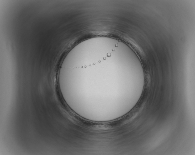 X0000112720541200908200948