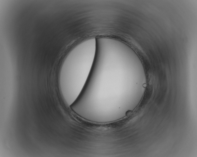 X0000112720542200908200948