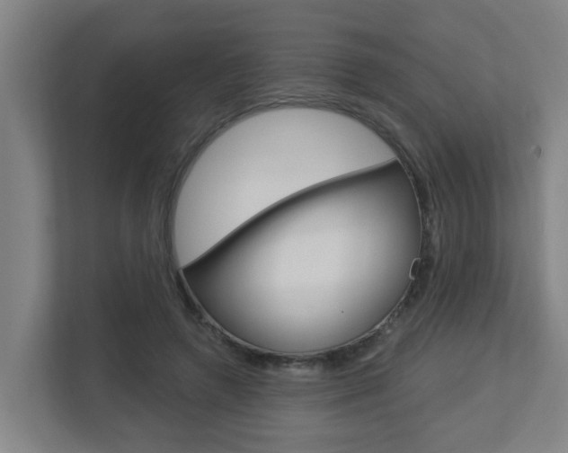 X0000112720546200908200948