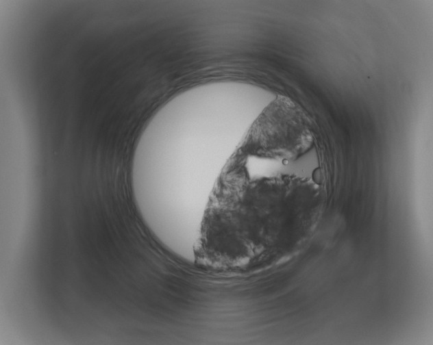 X0000112720553200908200949