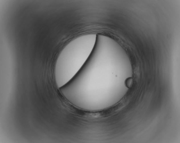 X0000112720554200908200949