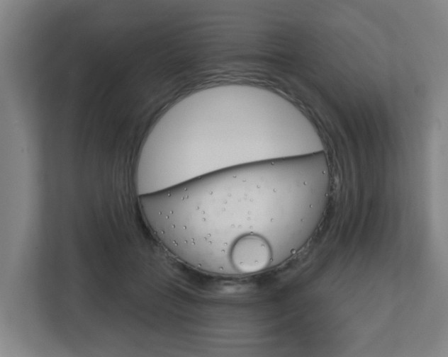 X0000112720555200908200949