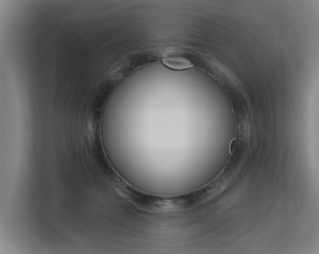 X0000112720558200908200949