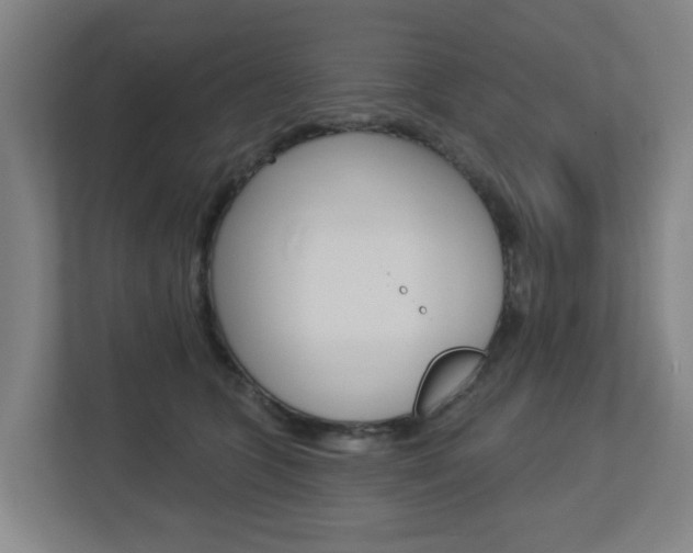 X0000112720563200908200949