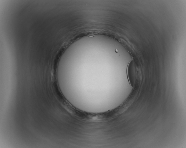 X0000112720564200908200949
