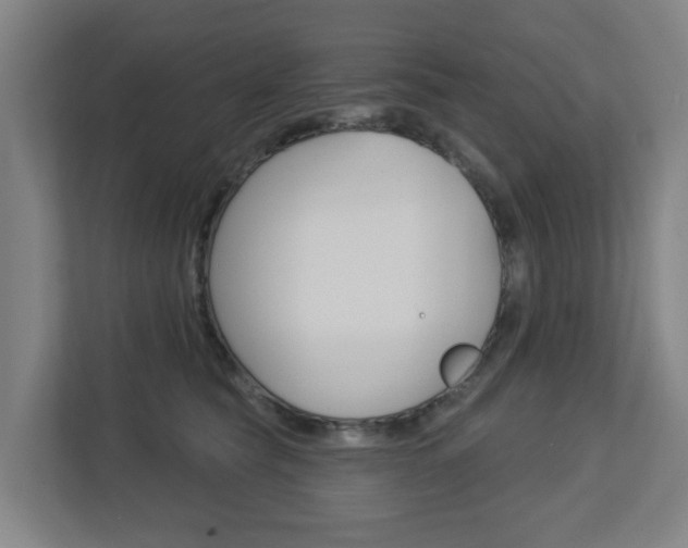 X0000112720565200908200949