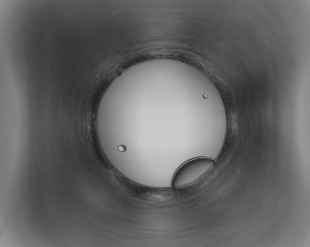 X0000112720567200908200949