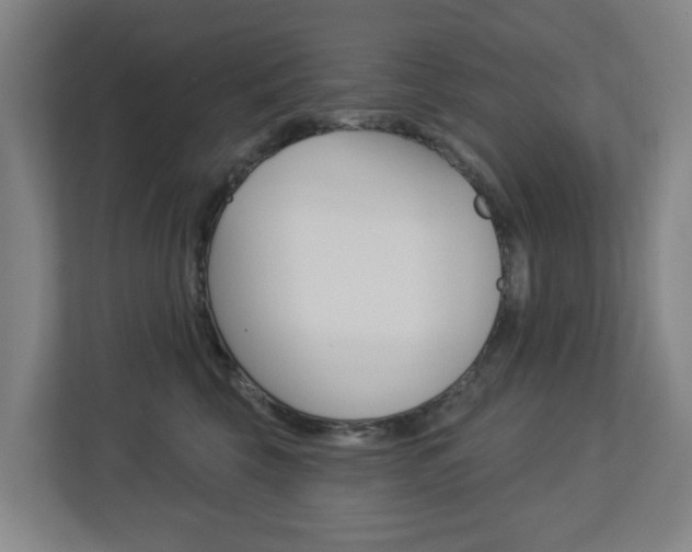 X0000112720569200908200949