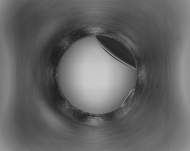 X0000112720572200908200949