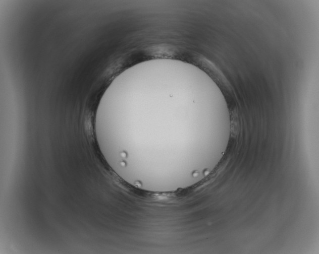 X0000112720573200908200949