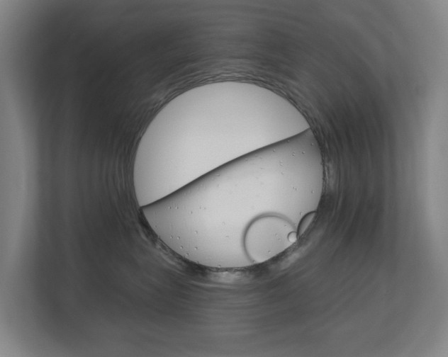 X0000112720575200908200949