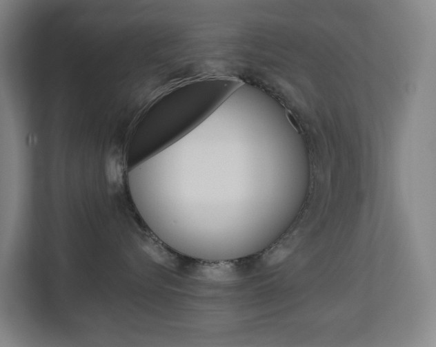 X0000112720576200908200949