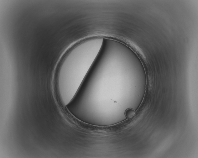 X0000112720580200908200948