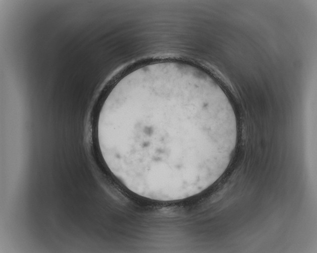 X0000112720584200908200948