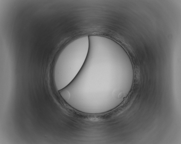 X0000112720590200908200948