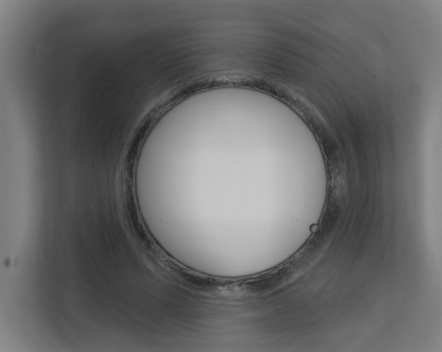 X0000112720591200908200948