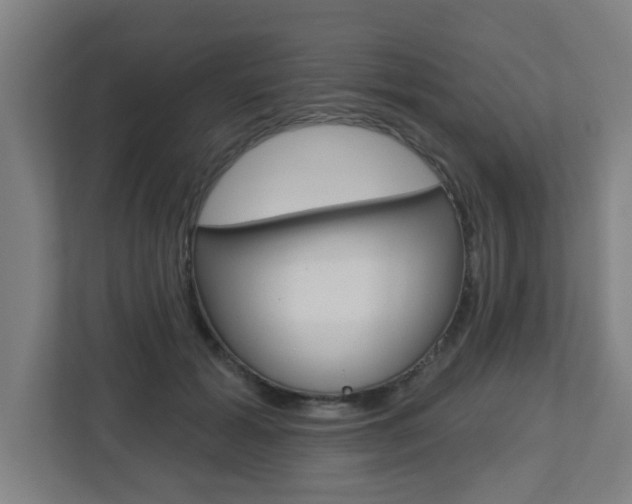 X0000112720605200908200948