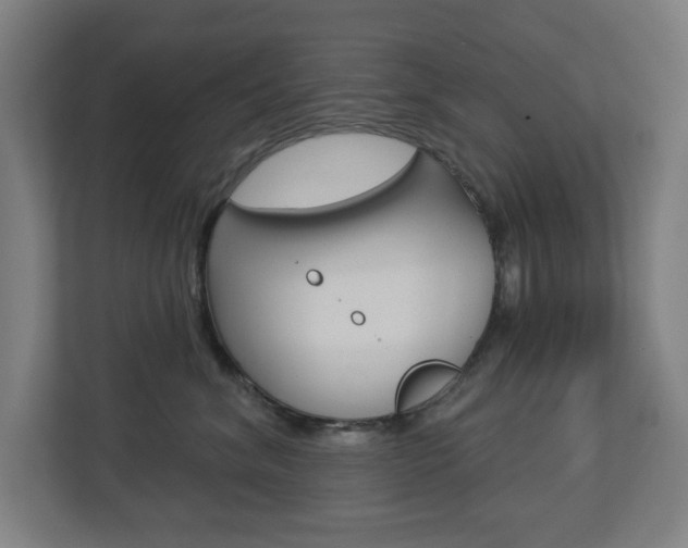 X0000112720620200908200948