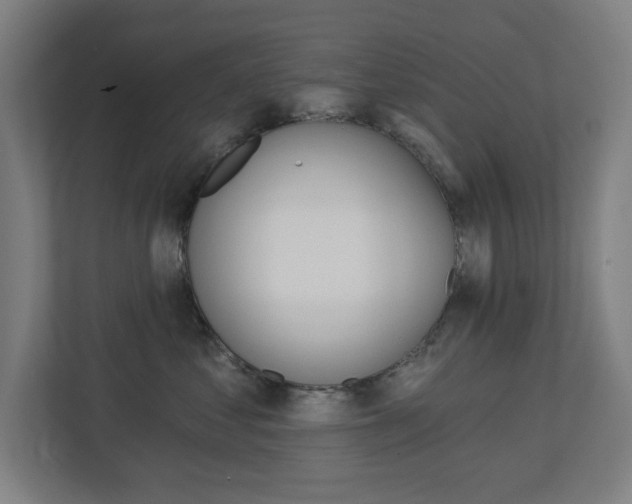 X0000112720621200908200948