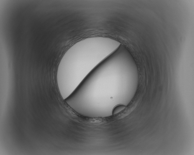 X0000112720624200908200948