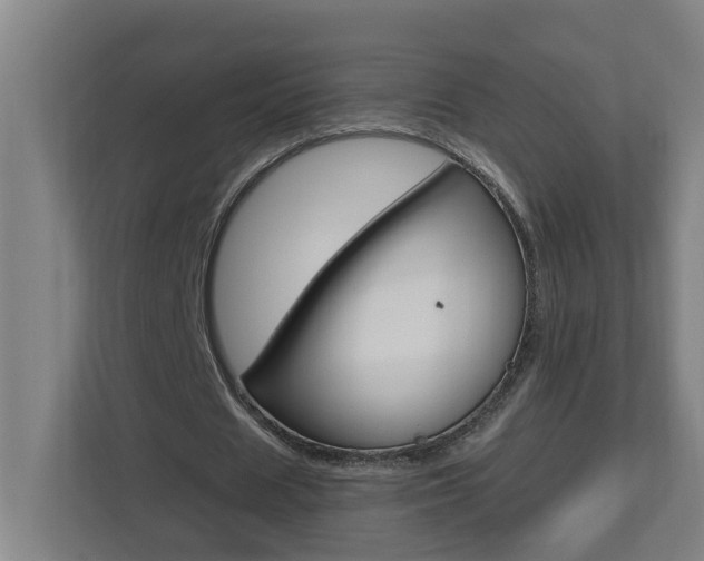 X0000112720625200908200947