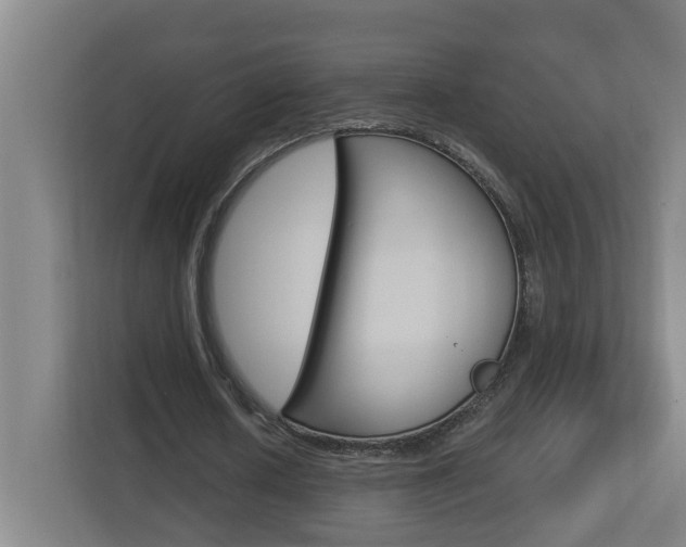 X0000112720626200908200947
