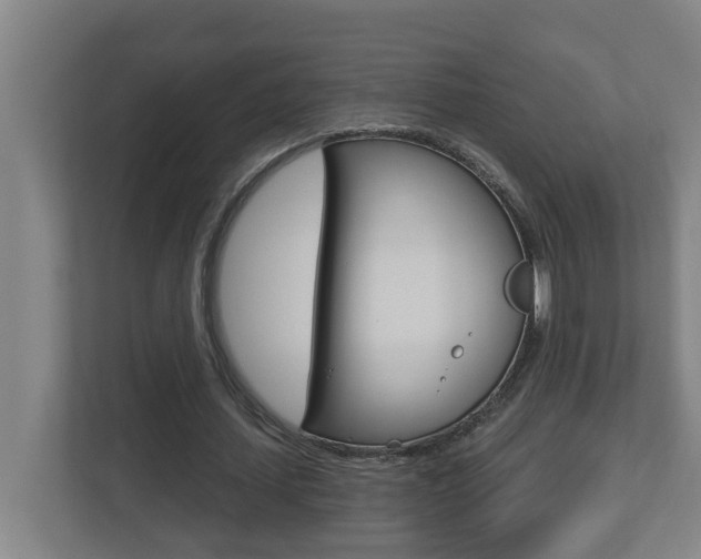X0000112720627200908200947