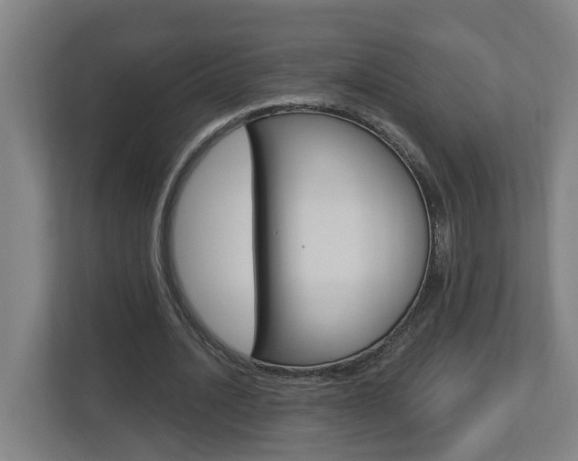 X0000112720628200908200947