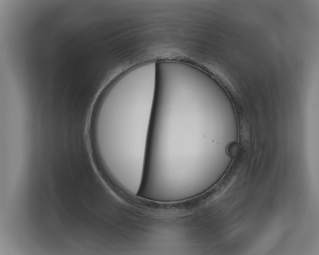 X0000112720630200908200947