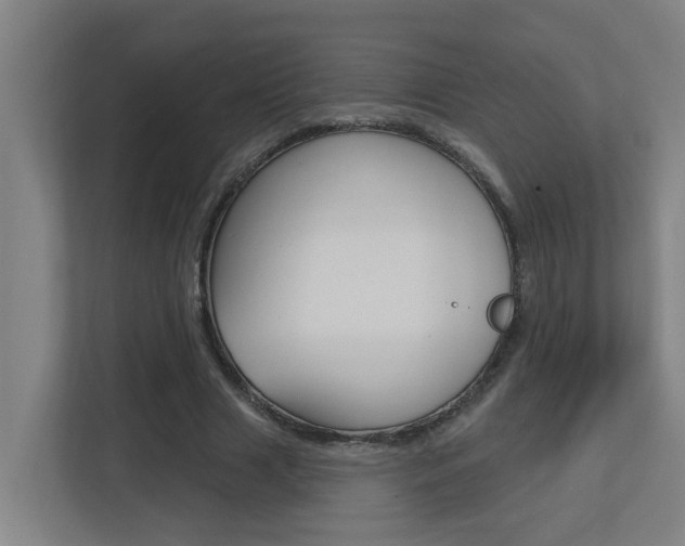 X0000112720633200908200947