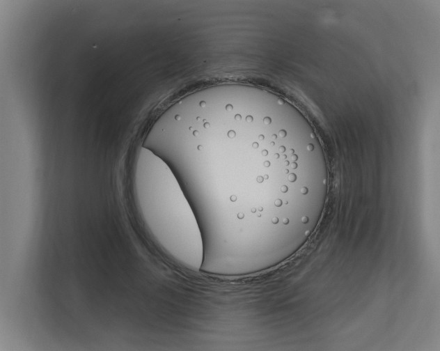 X0000112720635200908200947