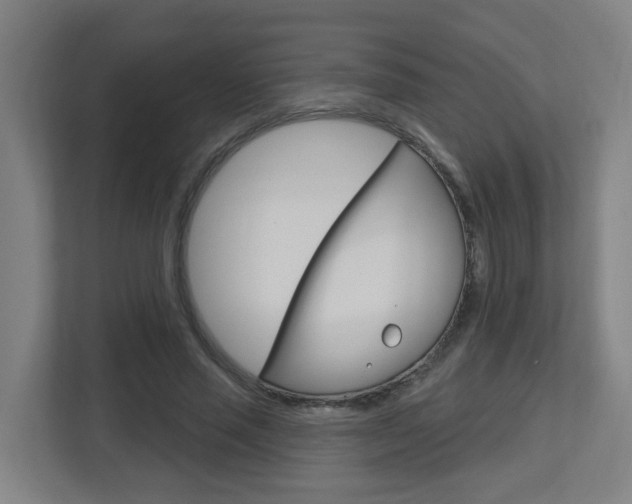 X0000112720637200908200947