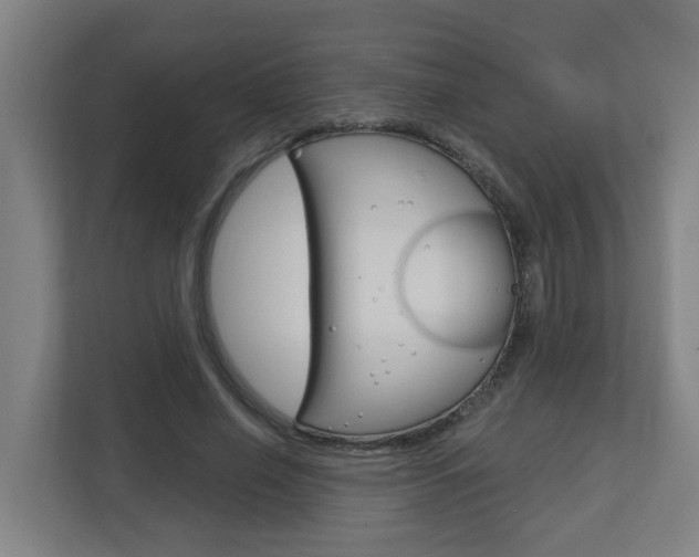 X0000112720638200908200947