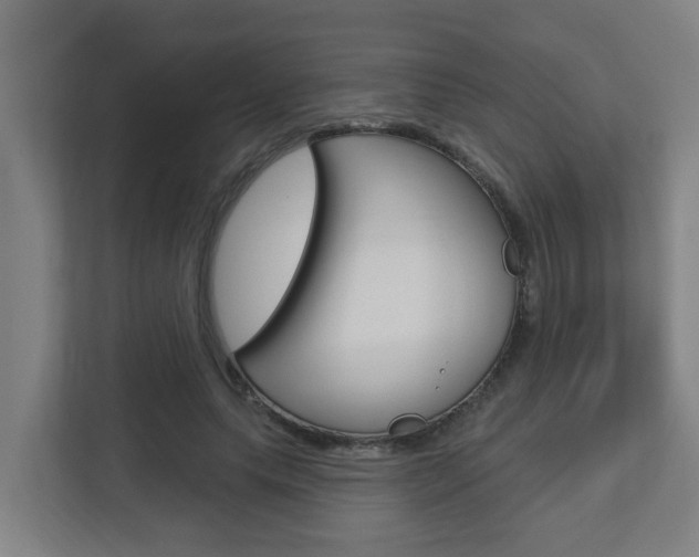 X0000112720639200908200947
