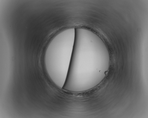 X0000112720640200908200947