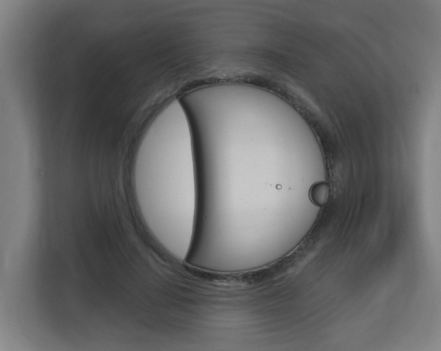 X0000112720644200908200947