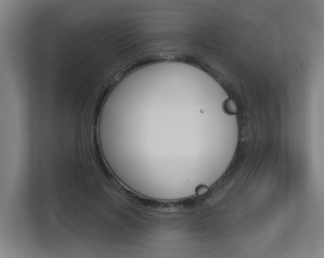 X0000112720646200908200947