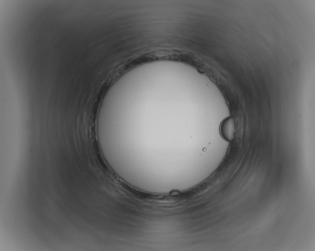 X0000112720653200908200947