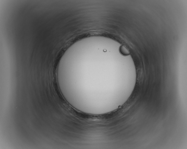 X0000112720655200908200947
