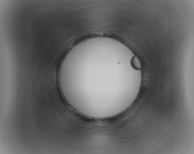 X0000112720656200908200947