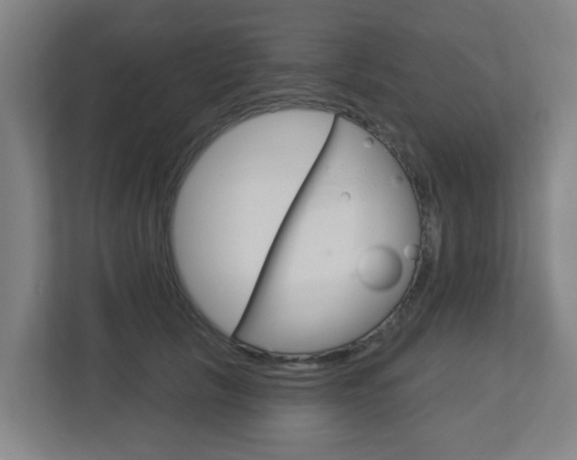 X0000112720657200908200947