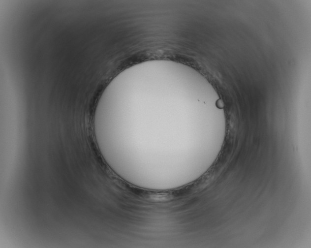 X0000112720659200908200947