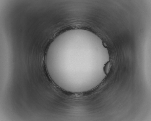 X0000112720660200908200947